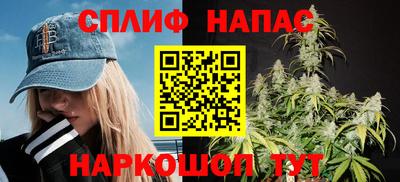 СК Можга
