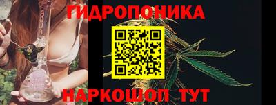 СК Можга