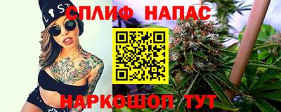 СК Можга