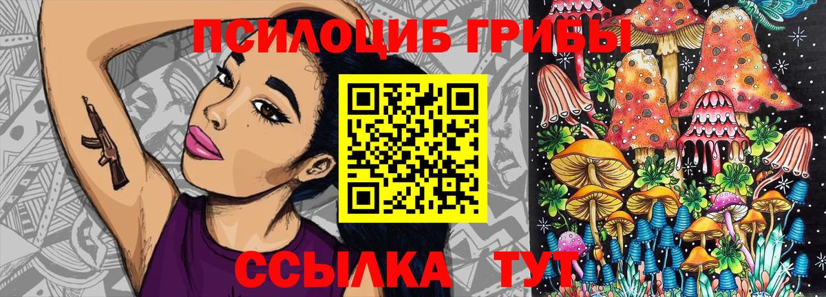 наркота  Вход с VPN  Туапсе  Галлюциногенные грибы Cubensis 